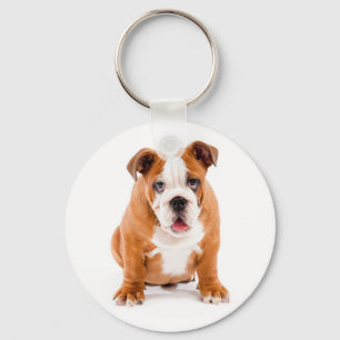 Cute English Bulldog Puppy Keychain Nyckelring