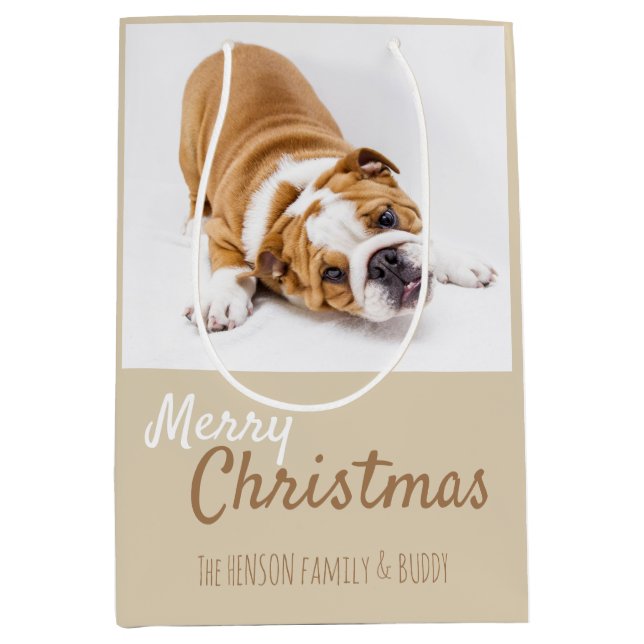 Cute English Bulldog Puppy Photo jul (Framsidan)