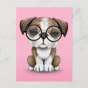 Cute English Bulldog Puppy Wearing Glasses Rosa Vykort
