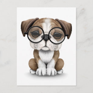 Cute English Bulldog Puppy Wearing Glasses White Vykort