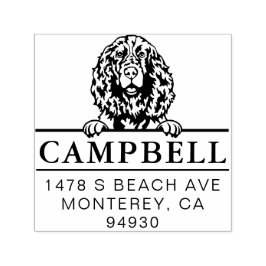 Cute English Springer Spain Anpassningsbar Hund Ad Självfärgande Stämpel