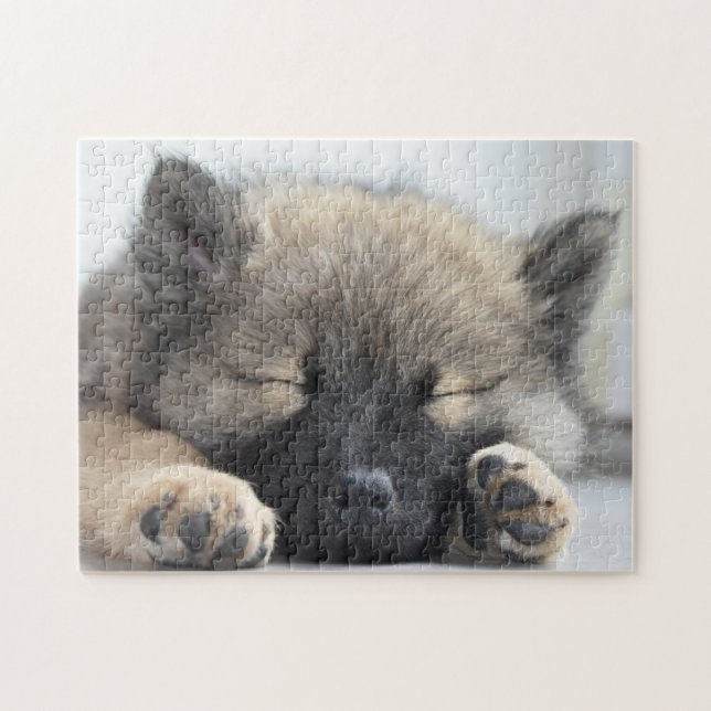 Cute Eurasier Puppy Pussel (Horisontell)