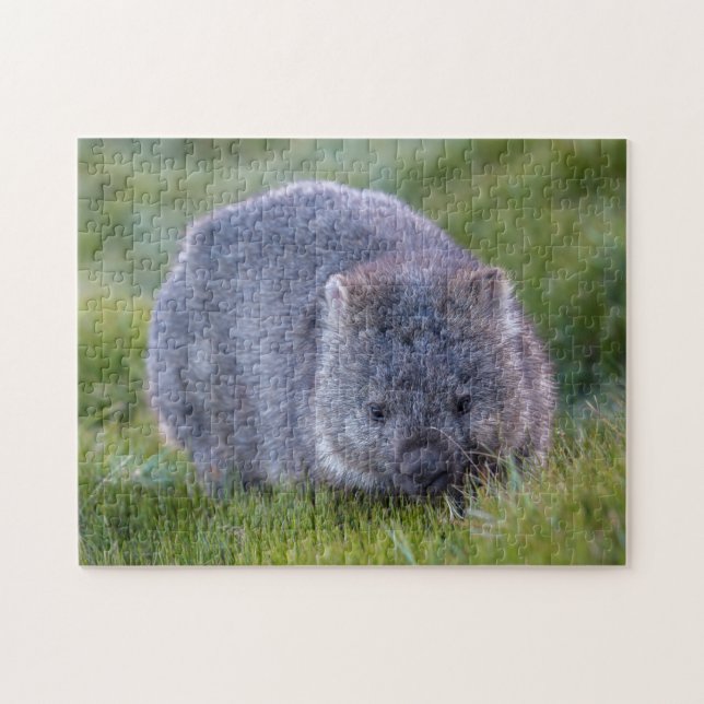 Cute Exotic Wombat Animal Wildlife, 252 delar Pussel (Horisontell)