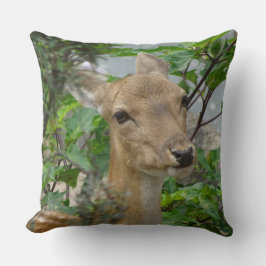 Cute Fallow-Hjort nära Dekorativ kudde