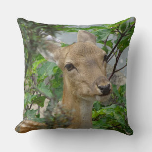 Cute Fallow-Hjort nära Dekorativ kudde