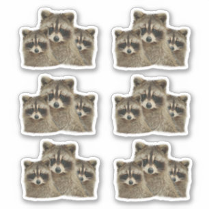 Cute Family of Raccoons Klistermärken