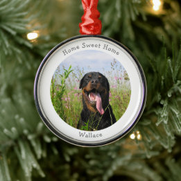 Cute Family Pet Julgransprydnad Metall