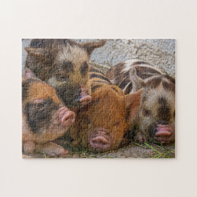 Cute Farm Animal Piglets Pussel (Horisontell)