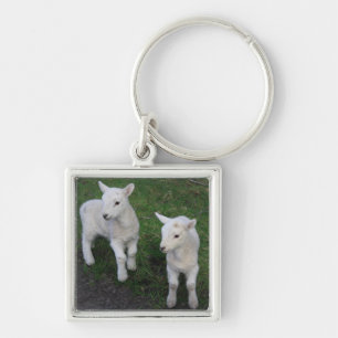 Cute Farm Ranch Baby-Twillingar Får lampa Fyrkantig Silverfärgad Nyckelring