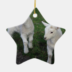 Cute Farm Ranch Baby-Twillingar Får lampa Julgransprydnad Keramik