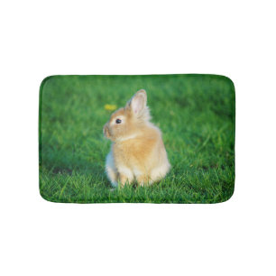 Cute Fawn Bunny Sitta i Grass Badrumsmatta