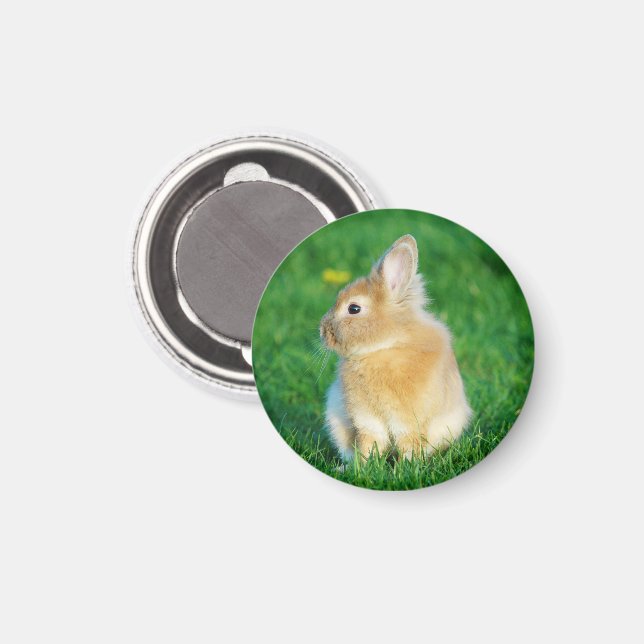 Cute Fawn Bunny Sitta i Grass Magnet (Front/Back)