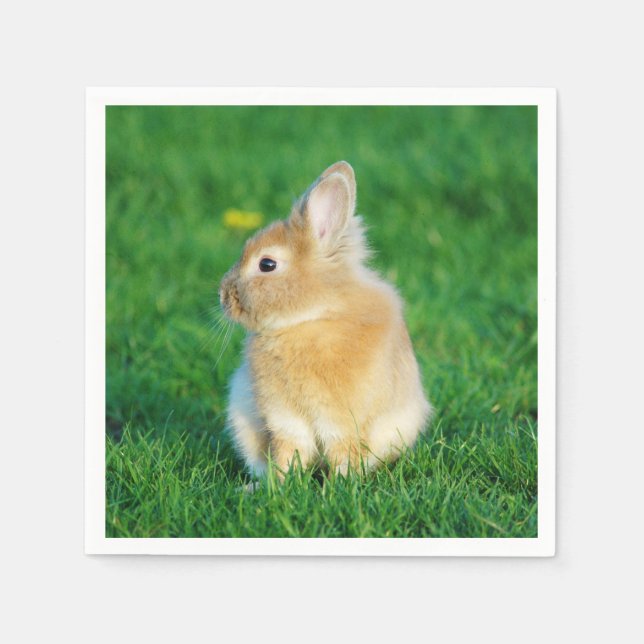 Cute Fawn Bunny Sitta i Grass Pappersservett (Framsidan)