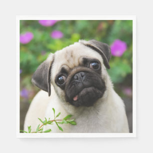 Cute Fawn Färgad Pug Puppy Hund Pet Photo on Pappersservett