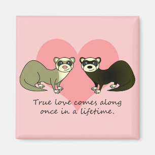 Cute Ferrets Äkta kärlek Magnet