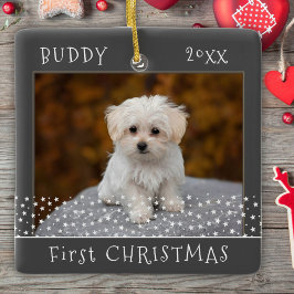Cute First jul Hund Pet Photo Stars Grått Julgransprydnad Keramik