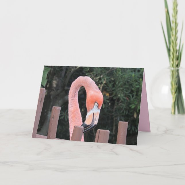 Cute Flamingo-gratulationskort Kort (Framsida)