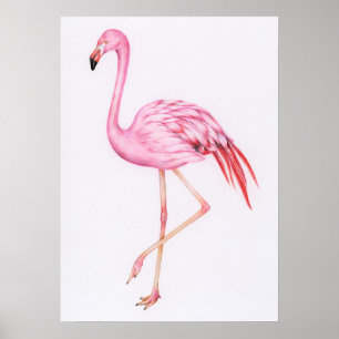 Cute Flamingo Teckning Poster