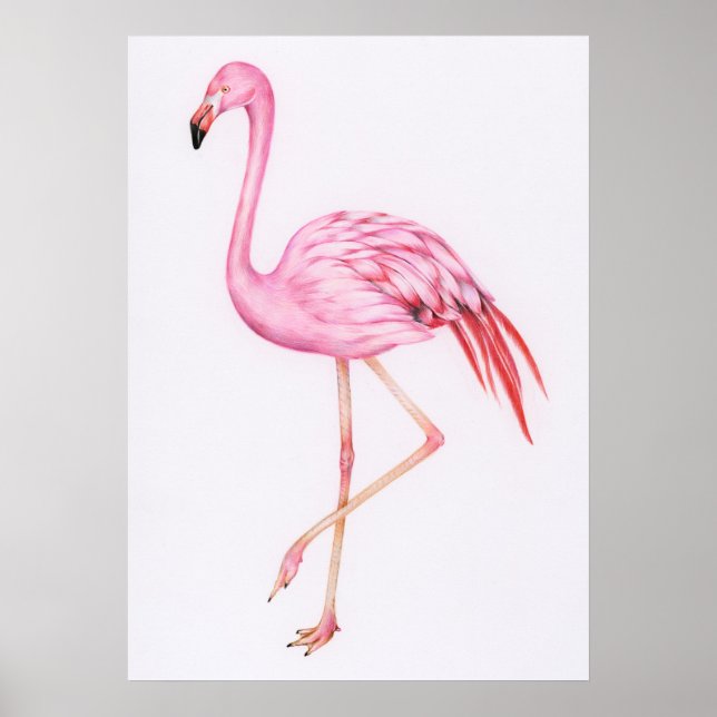 Cute Flamingo Teckning Poster (Framsidan)