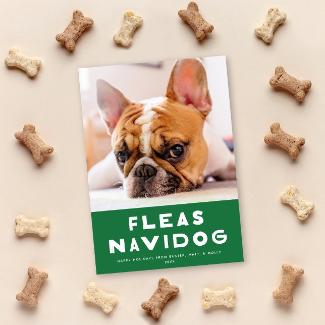 Cute Fleas Navidog Hund Pet Helgdag Photo Card Julkort (Skapare uppladdad)