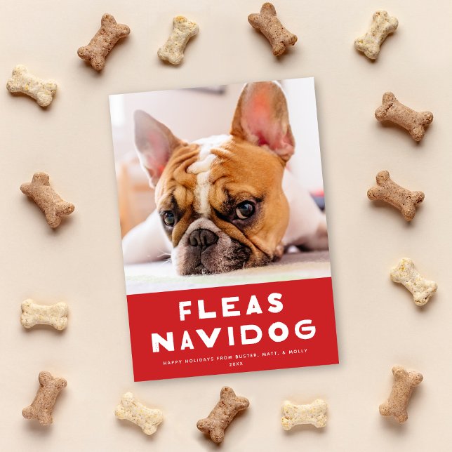 Cute Fleas Navidog Hund Pet Helgdag Photo Card Julkort (Skapare uppladdad)