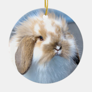 Cute Flemish white och brun kanin Julgransprydnad Keramik