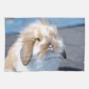 Cute Flemish white och brun kanin Kökshandduk