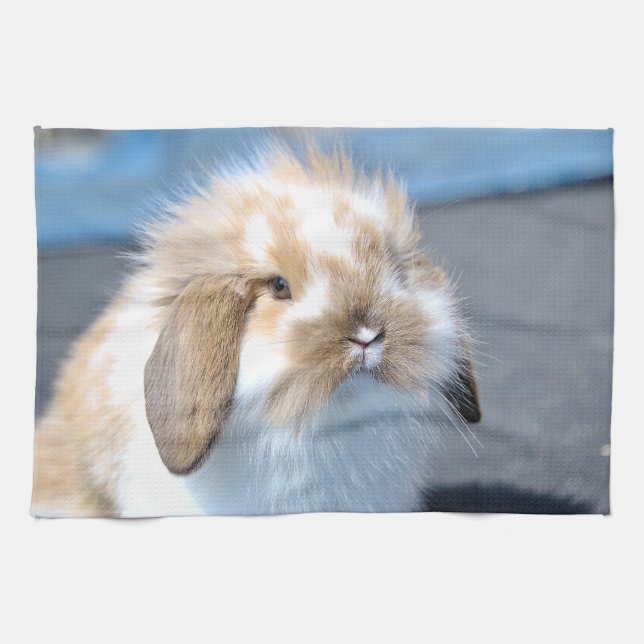 Cute Flemish white och brun kanin Kökshandduk (Horisontell)