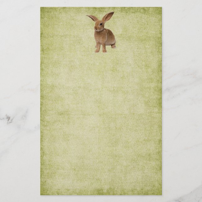 Cute Floppy Bunny-Stationery-No Linjer Brevpapper (Framsida)