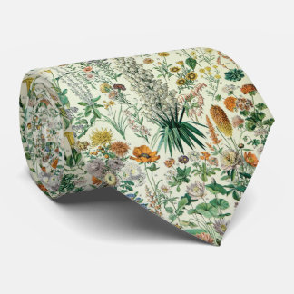 Cute Floral Botanical Drawing by Adolphe Millot Slips