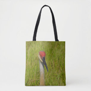 Cute Florida Sandhill Crane Bird Nature Photograph Tygkasse