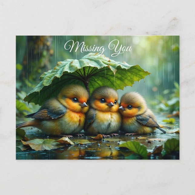 Cute fluffy birds in rain *Missing You* Vykort (Framsida)