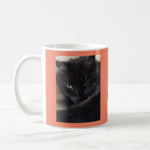 Cute Fluffy Black Cat Photo Personlig Kaffemugg