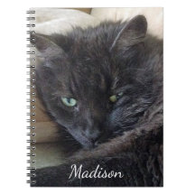 Cute Fluffy Black Cat Photo Personlig Namn