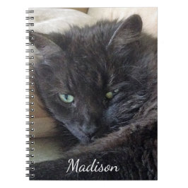Cute Fluffy Black Cat Photo Personlig Namn Anteckningsbok
