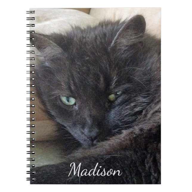 Cute Fluffy Black Cat Photo Personlig Namn Anteckningsbok (Framsidan)