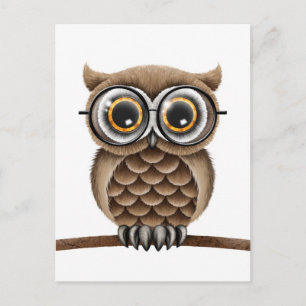 Cute Fluffy Brown Uggla med läsglas, vitt Vykort