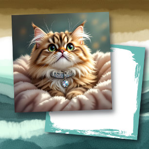 Cute Fluffy Cat   Tom