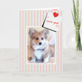 Cute Fluffy Corgi Valentine Helgkort