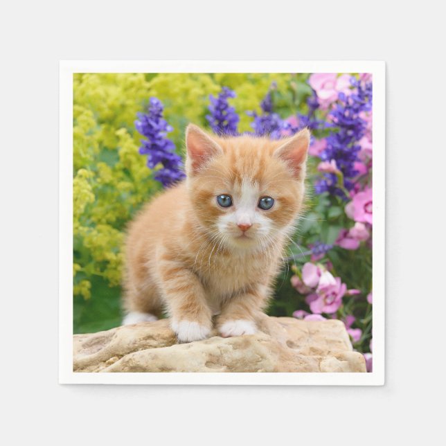 Cute Fluffy Ginger Baby Cat Kitten i Flowers Pet Pappersservett (Framsidan)