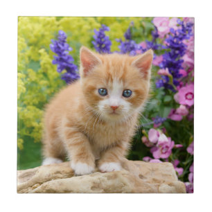 Cute Fluffy Ginger Cat Kitten i Flowers Pet Photo Kakelplatta