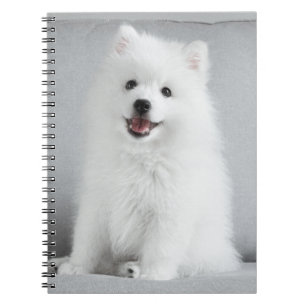Cute Fluffy Japansk spitz Puppy Anteckningsbok