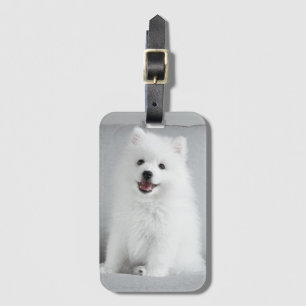 Cute Fluffy Japansk spitz Puppy Bagagebricka