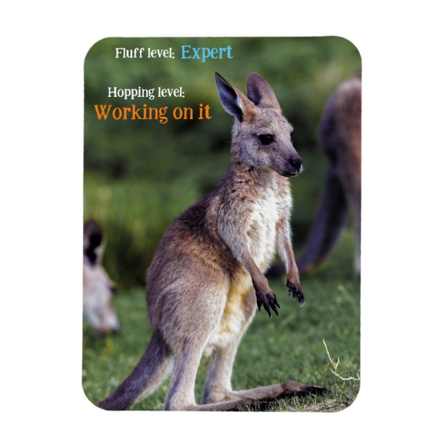 Cute fluffy joey Kangaroo Magnet (Vertikal)