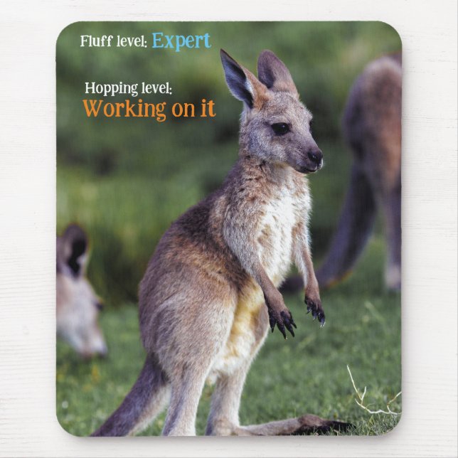 Cute fluffy joey Kangaroo Musmatta (Framsidan)