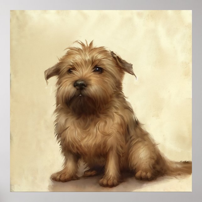 Cute Fluffy Norfolk Terrier Art Poster (Framsidan)