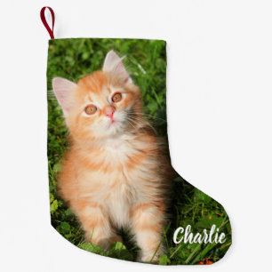 Cute Fluffy Orange Tabby katt Kitten Liten Julstrumpa