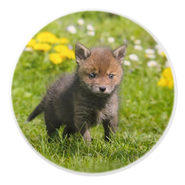 Cute Fluffy Red Fox Unge Vild Baby - dekorativ Knopp (Framsidan)