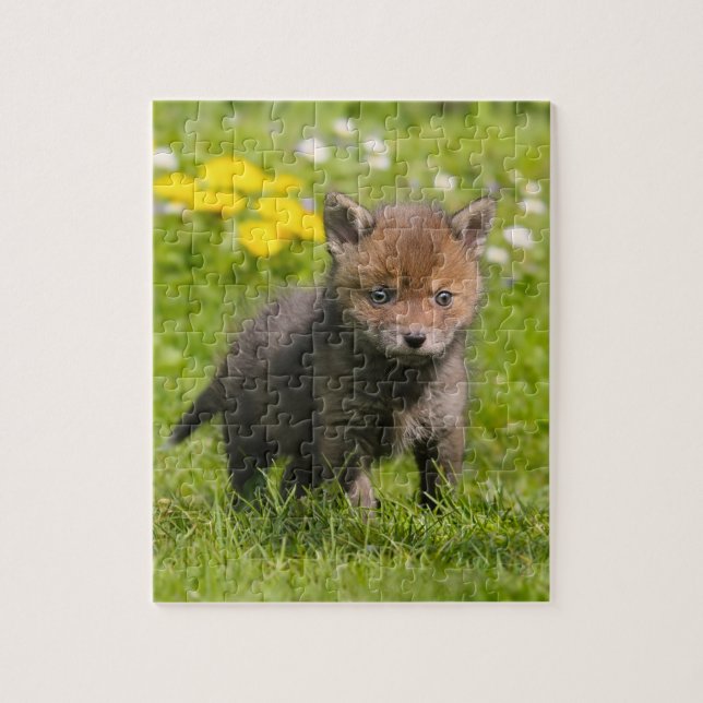 Cute Fluffy Red Fox Unge Vild Baby djur Game 8x10 Pussel (Vertikal)