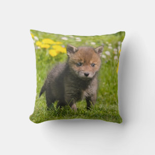 Cute Fluffy Red Fox Unge Vild Baby djur Photo - Kudde